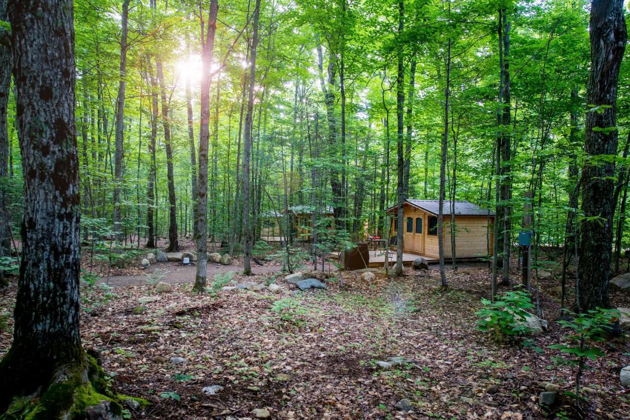 Madawaska Lodge-Cottage Extérieur photo