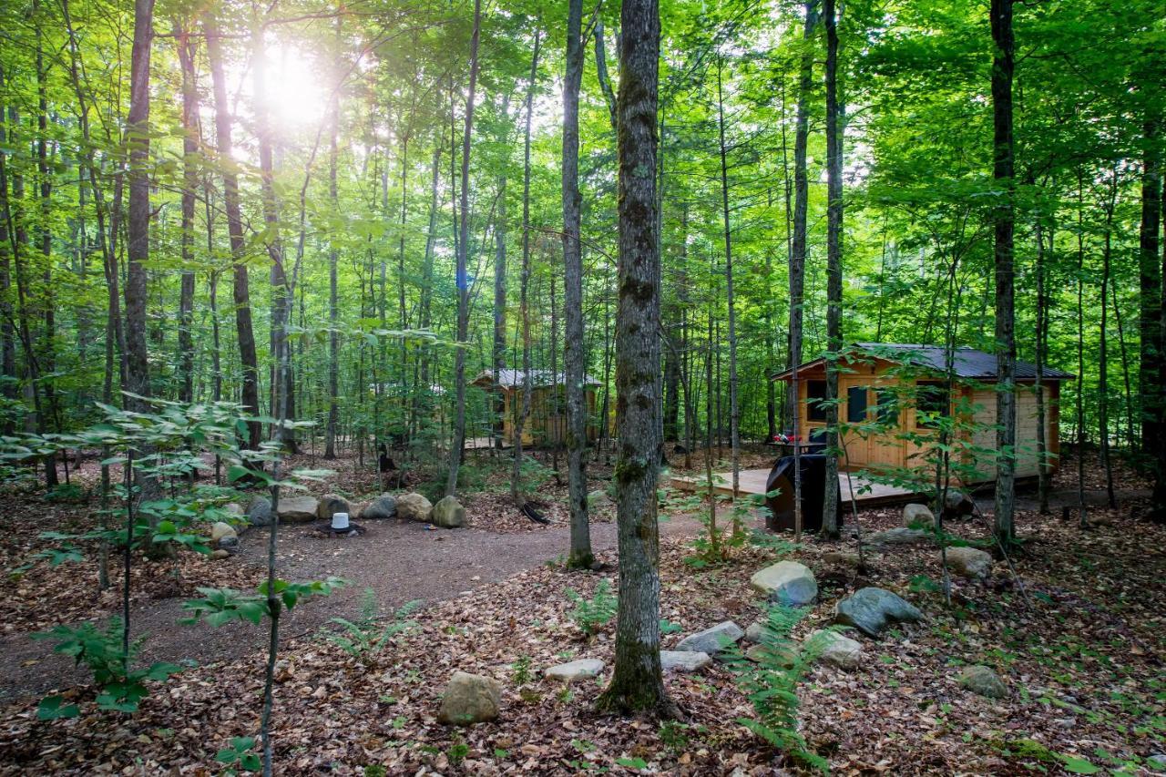 Madawaska Lodge-Cottage Extérieur photo