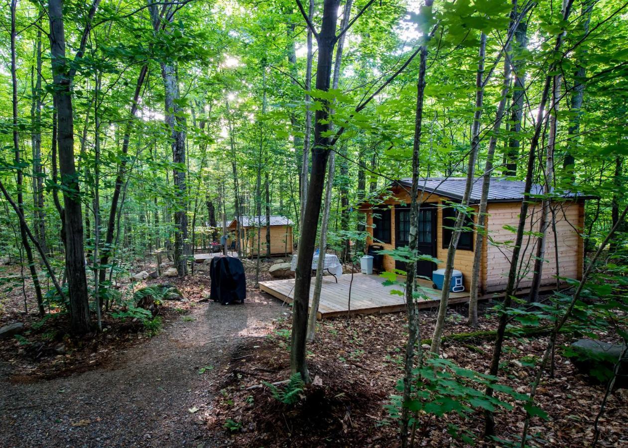 Madawaska Lodge-Cottage Extérieur photo